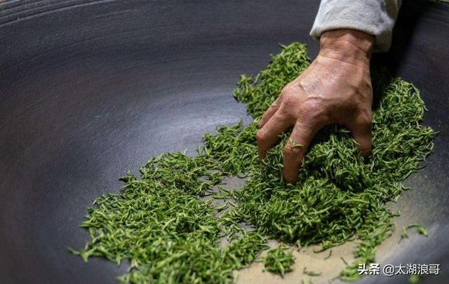 白枣吃了有什么作用急急急，白枣的营养价值及功效（开启了太湖洞庭一年的花果飘香）