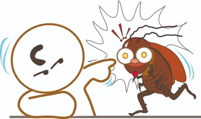 为什么有的蟑螂会飞有的不会,为啥有的蟑螂会飞(北方人永远不知道) 为什么有的蟑螂会飞有的不会,为啥有的蟑螂会飞(北方人永远不知道)