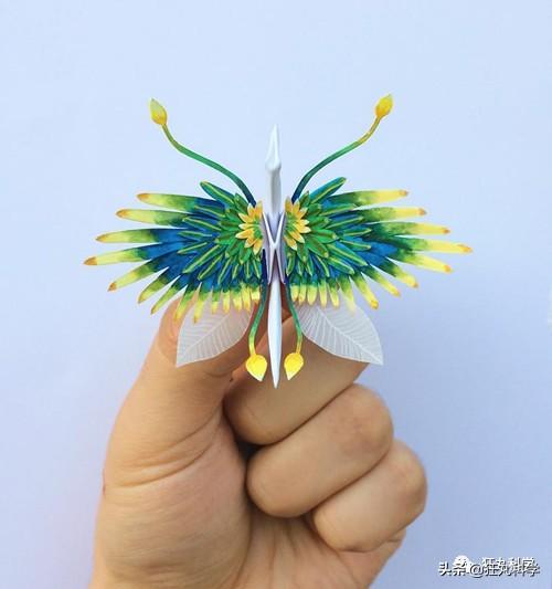如何做一个千纸鹤，怎样才能做千纸鹤（一千天叠出1000种纸鹤）