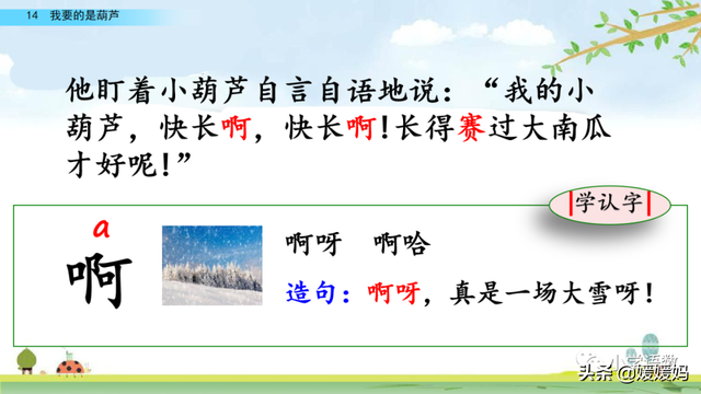 什么的枝叶填空，什么枝叶填空二年级（部编版二年级上册第14课《我要的是葫芦》课件及同步练习）