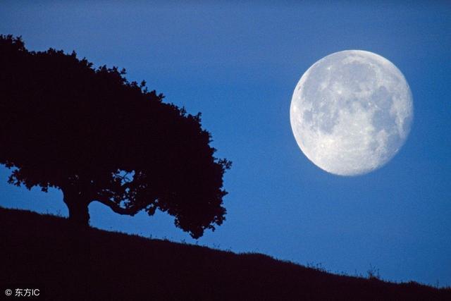 月夜代表什么动物，月夜代表什么动物生肖（从神话诗歌到奇幻科学的人类探索史《月亮》全篇概要）