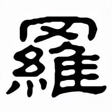 罗字的繁体字多少笔画，罗字的繁体字是多少画（罗字字义和字形演变）