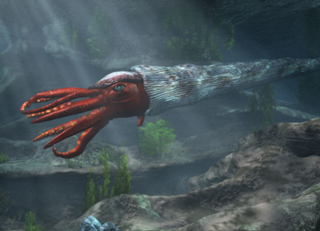 软体动物和无脊椎动物区别，软体动物和无脊椎动物区别在哪（4.4亿年前竟是海洋霸主）