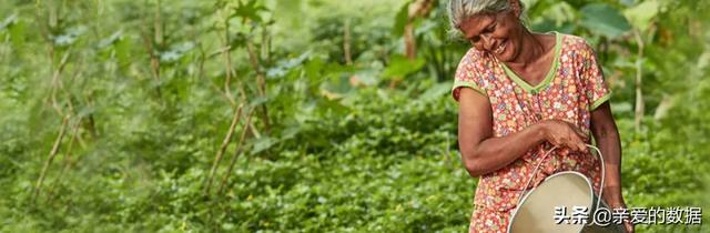 银鹭花生牛奶保质期多久，银鹭花生牛奶的保质期是多长时间（传感器、可穿戴设备、业务中台、智能供应链）