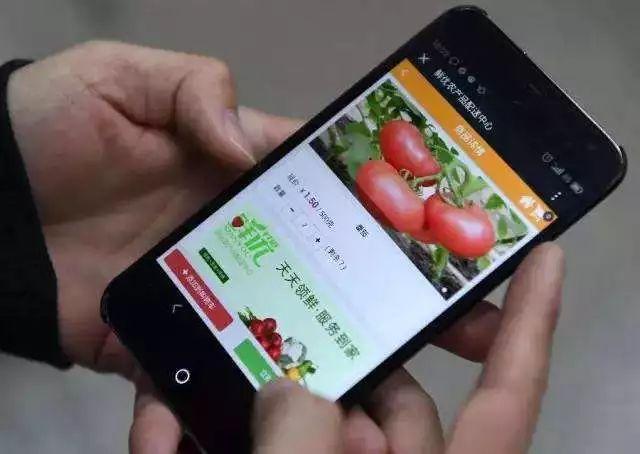 朝阳产业是什么意思，朝阳产业包括（这四大朝阳产业却正值好时光）