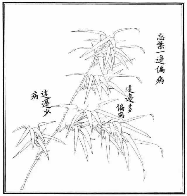  竹子漂亮简单画法，怎样画竹子最好看又简单