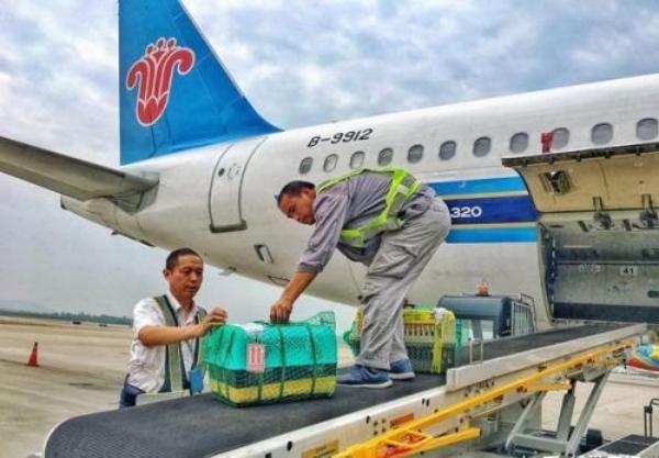 快递可以寄狗吗，顺丰托运宠物价格表（如何快递运输狗狗及运输宠物时的注意事项）