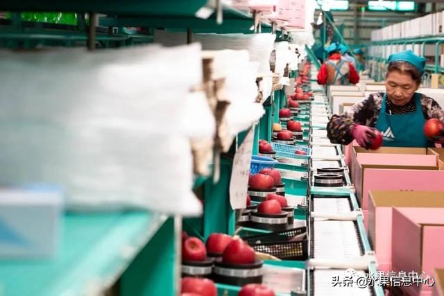 果蜜是什么，柠檬果蜜是什么（走进日本苹果第一大县“青森县”）