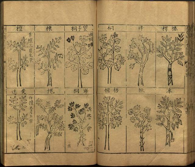 本草纲目全书带图，李时珍本草纲目全书（李时珍著《本草纲目》附图卷）