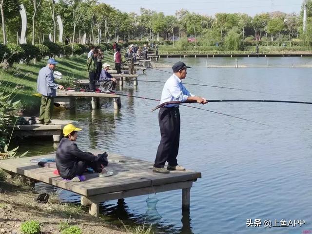 雨后钓鱼钓深水还是浅水，夏天雨后钓鱼钓深水还是浅水（大师教你雨天灵活找钓位）