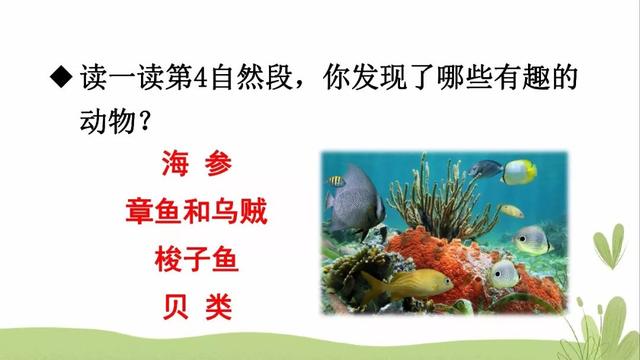 海底有哪些丰富的物产，海底有哪些丰富的物产和特征（部编版三年级下册第23课《海底世界》图文讲解）