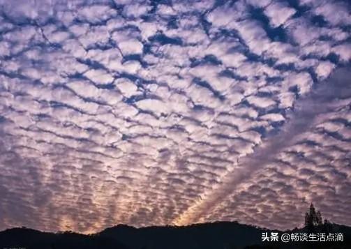 夏天的谚语有哪些，夏天节气谚语（老祖宗们留下来的谚语）