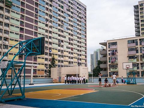 香港8个不得不去的旅游景点，香港8个不得不去的旅游景点是什么（到香港旅游不要错过的几个地方）