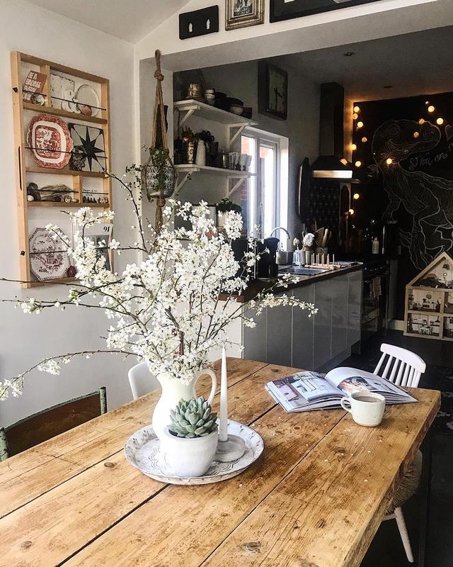 白玫瑰ins，白玫瑰ins风照片（2019年风靡ins的4种装饰鲜花图片）