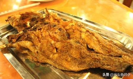 本地塘鲺鱼养殖，塘鲺鱼苗如何养殖（埃及塘虱鱼经历了什么）