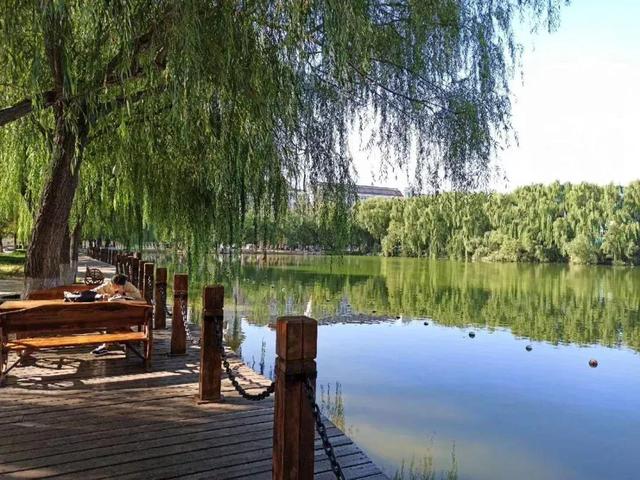 渤海大学是211吗，渤海大学是什么大学（辽宁省普通高等院校）