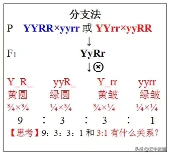 电容阻抗公式及单位，遗传定律知识点<附电子版>