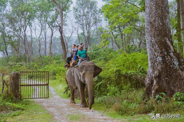 尼泊尔在哪，尼泊尔靠近中国哪个城市（尼泊尔那么穷，为何幸福指数高）
