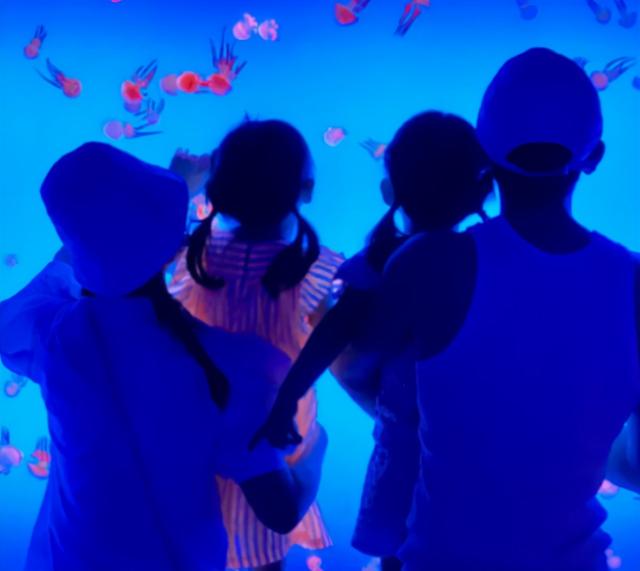 张杰谢娜的结婚照片，谢娜和张杰李宇春（夫妻穿情侣装向对方表白）