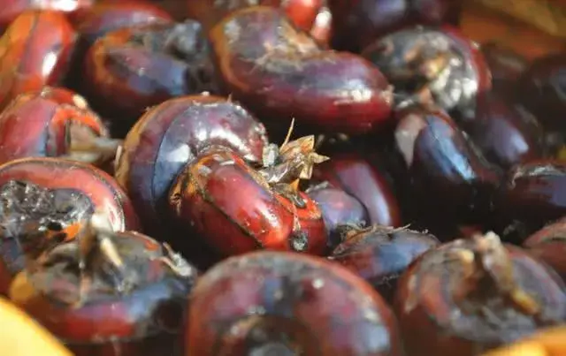 莜面怎么读，“莜面”的读音是什么（这4道中国菜名字太绕口）