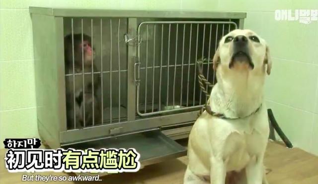 温馨的小故事，温馨的小故事哄男朋友（4个生活中暖心的故事）