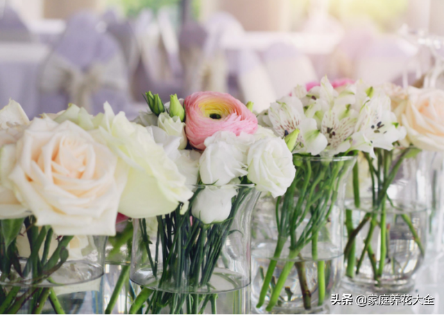 玫瑰花怎么保存，鲜花如何保存（花店御用保鲜秘籍）