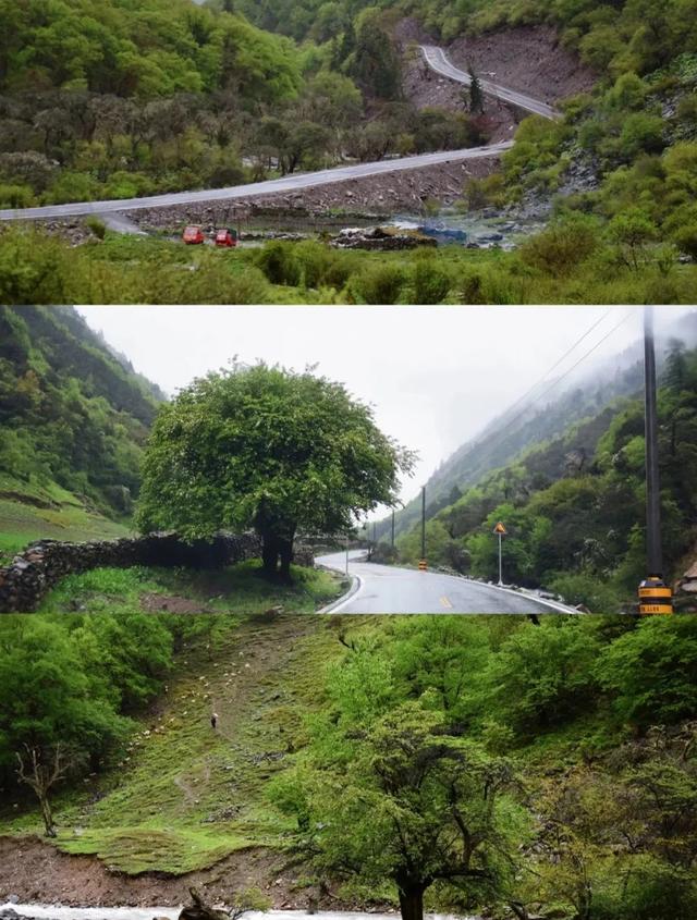 川西北花海风景，两天一夜川西秘境之旅