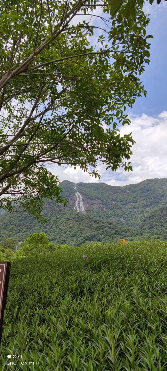 白水寨风景名胜区，增城白水寨旅游攻略（白水寨风景区）