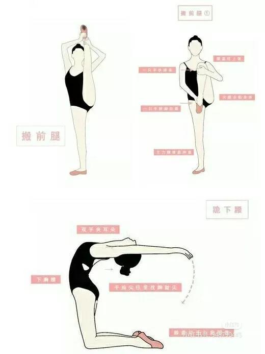 练舞蹈要练哪些基本功，练舞蹈要练哪些基本功视频（最全舞蹈基本功练习动作合集）