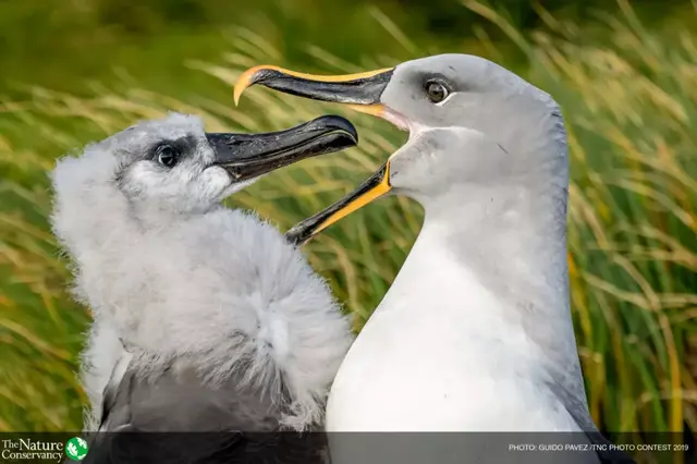 怦然心动美图，怦然心动最新图片（美图 ， 这一瞬间的怦然心动）