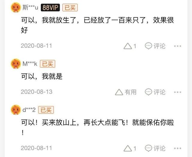 林北是什么意思，林北啥意思（某宝上千千万个“朱振亿”）