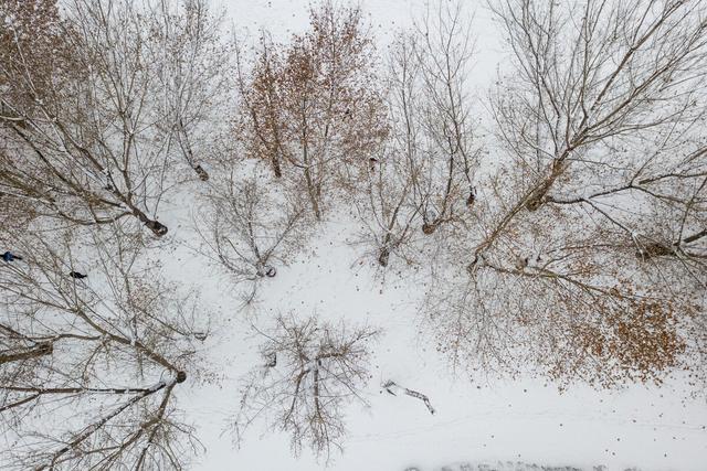 纯净的雪是什么颜色的，雪一共有几种颜色（想知道雪的颜色吗）