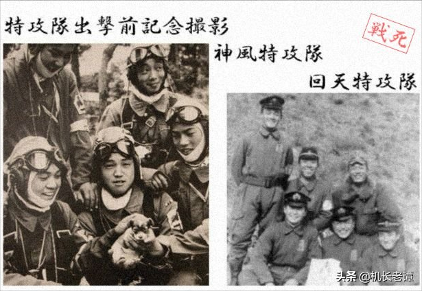 关于神风特攻队的游戏，日本神风特攻队到底有多恐怖