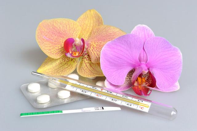 水银温度计的使用方法，水银温度计图片（水银温度计打碎之后）