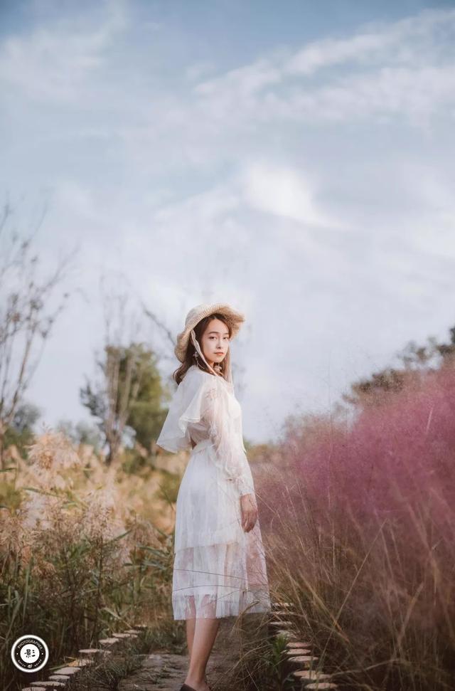 玛米亚奥特曼在线观看，玛米亚（都是因为热爱丨探图摄影师专访）