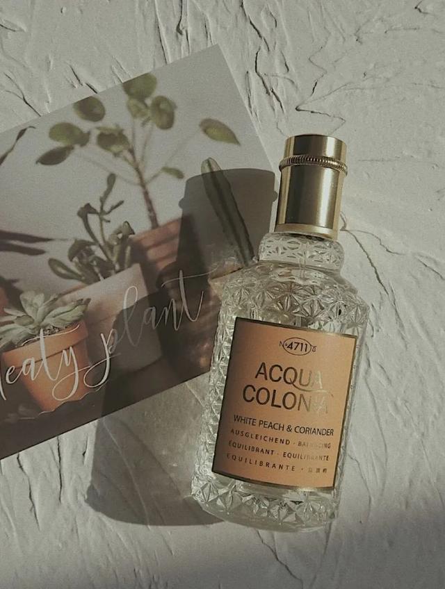 好闻的香水一般前调是什么味道的，撞香率1%的迷人香水