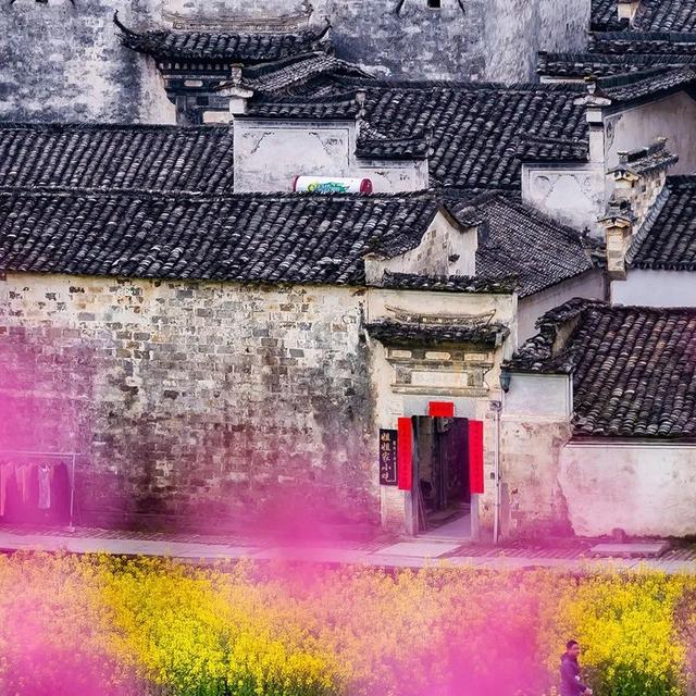 宏村在哪里，安徽宏村在哪里（宏村、西递等旅游景区恢复开放）
