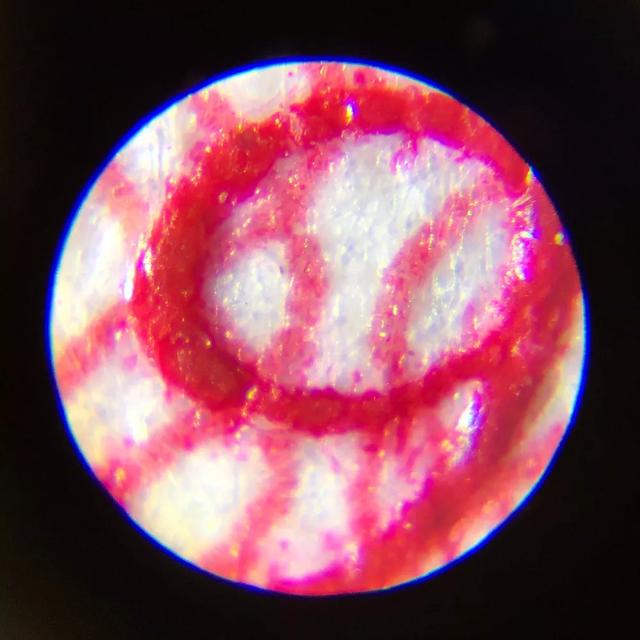 儿童科学探索显微镜，启发孩子科学探索思维