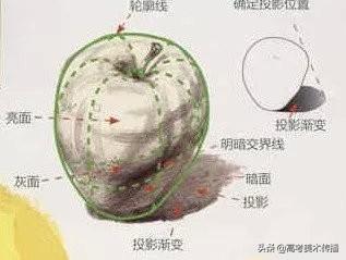 色彩中静物调色怎么调，色彩静物变调（教你理解快速掌握色彩静物）
