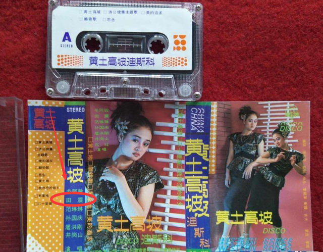 苏苪清网名，苏苪清微信昵称（因不良爱好走下神坛的田震现状如何）