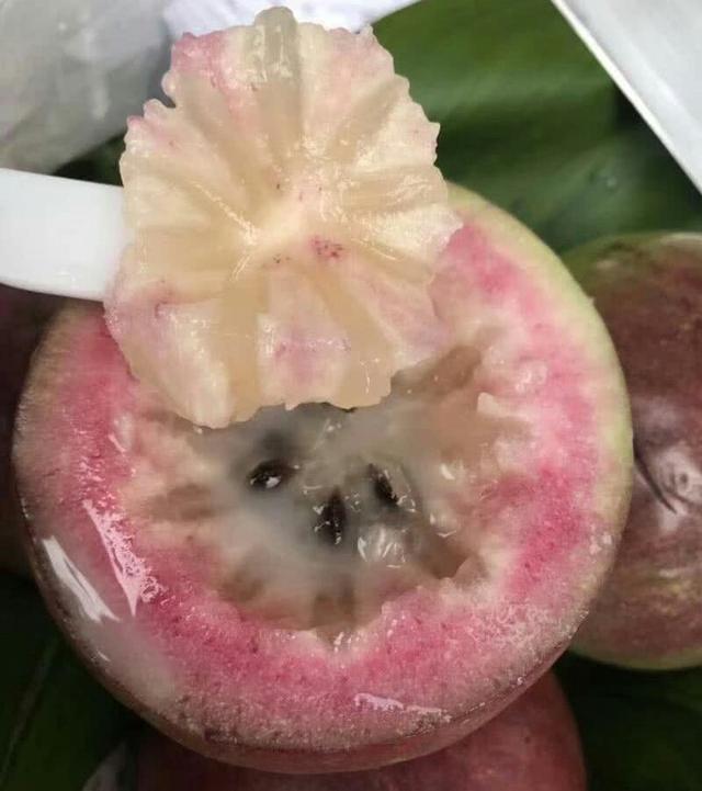 紫色的水果有哪些，粉红色的水果叫什么梅（7种高颜值紫色果子）