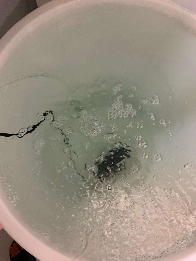 自来水养鱼怎么处理水，养鱼的水有什么要求（自来水困几天可以给鱼换水）