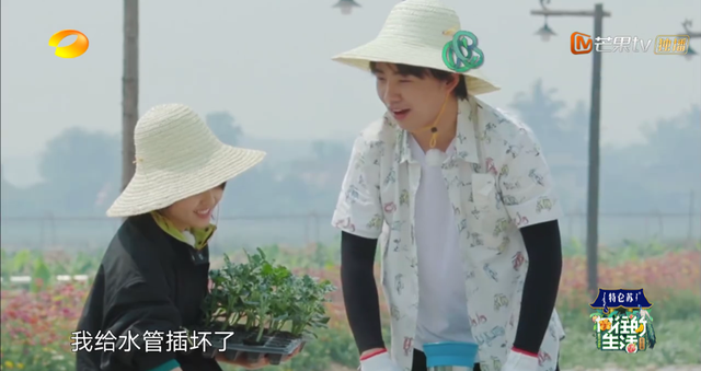 向往的生活开局推到张子枫，张子枫是谁推荐到向往的生活（《向往的生活4》张子枫被疑社恐）