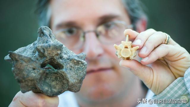 十大怪异鲨鱼，10000米长的蜈蚣（背后隐藏着一个人类起源的故事）