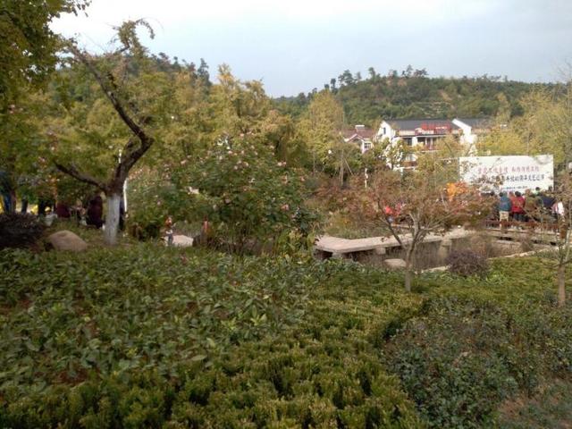 无锡自驾游，无锡自驾游一日游攻略（浙江无锡周边短途自驾游景点攻略推荐）