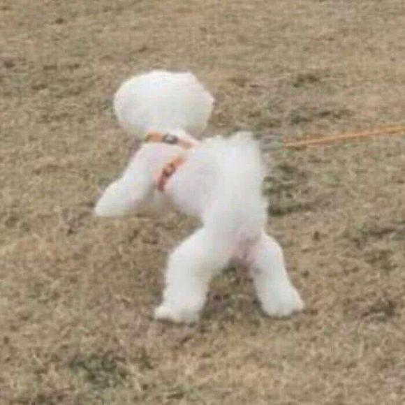 十有八久情侣网名，十有八九”“八九不离十.微信昵称（一些有生活情趣的情侣网名）