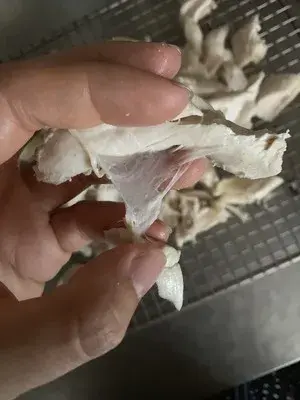 鸡肉松怎么做，肉松怎么做好吃又松软简单（鸡肉松还可以装饰面包）