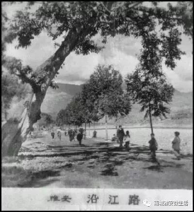 冷色系女头/快乐是个奢侈品，微信头像，冷色系女头/快乐是个奢侈品（雅安：一城梧桐伴流年）