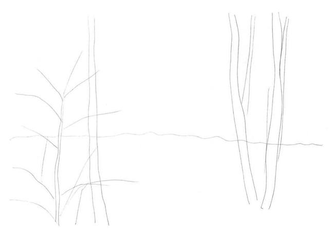 小树简笔画怎么画，小树的简笔画怎么画（教你三种常见树木画法）