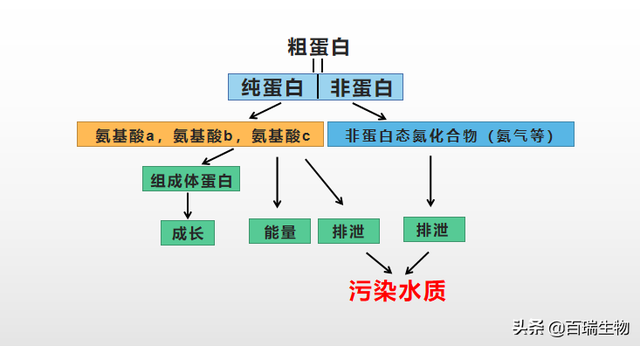 高密度养鱼需要什么方法，高密度养鱼技术视频（鱼虾越难养的处理方法）